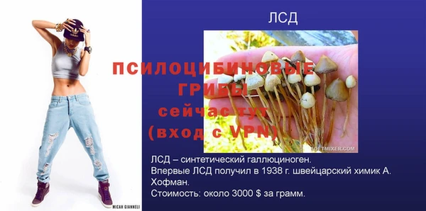 спиды Белокуриха