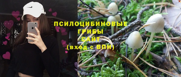 спиды Белокуриха