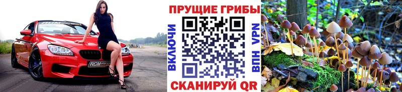 Псилоцибиновые грибы GOLDEN TEACHER Кизляр